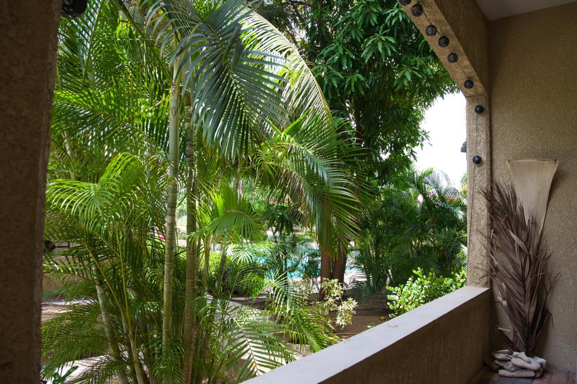 Caribbean Happyness Apartment Willemstad Exterior foto